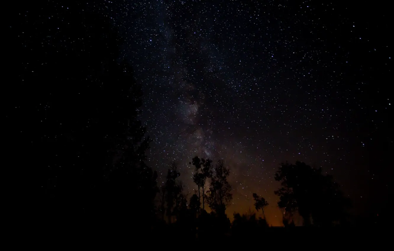 Фото обои космос, звезды, деревья, ночь, пространство, млечный путь
