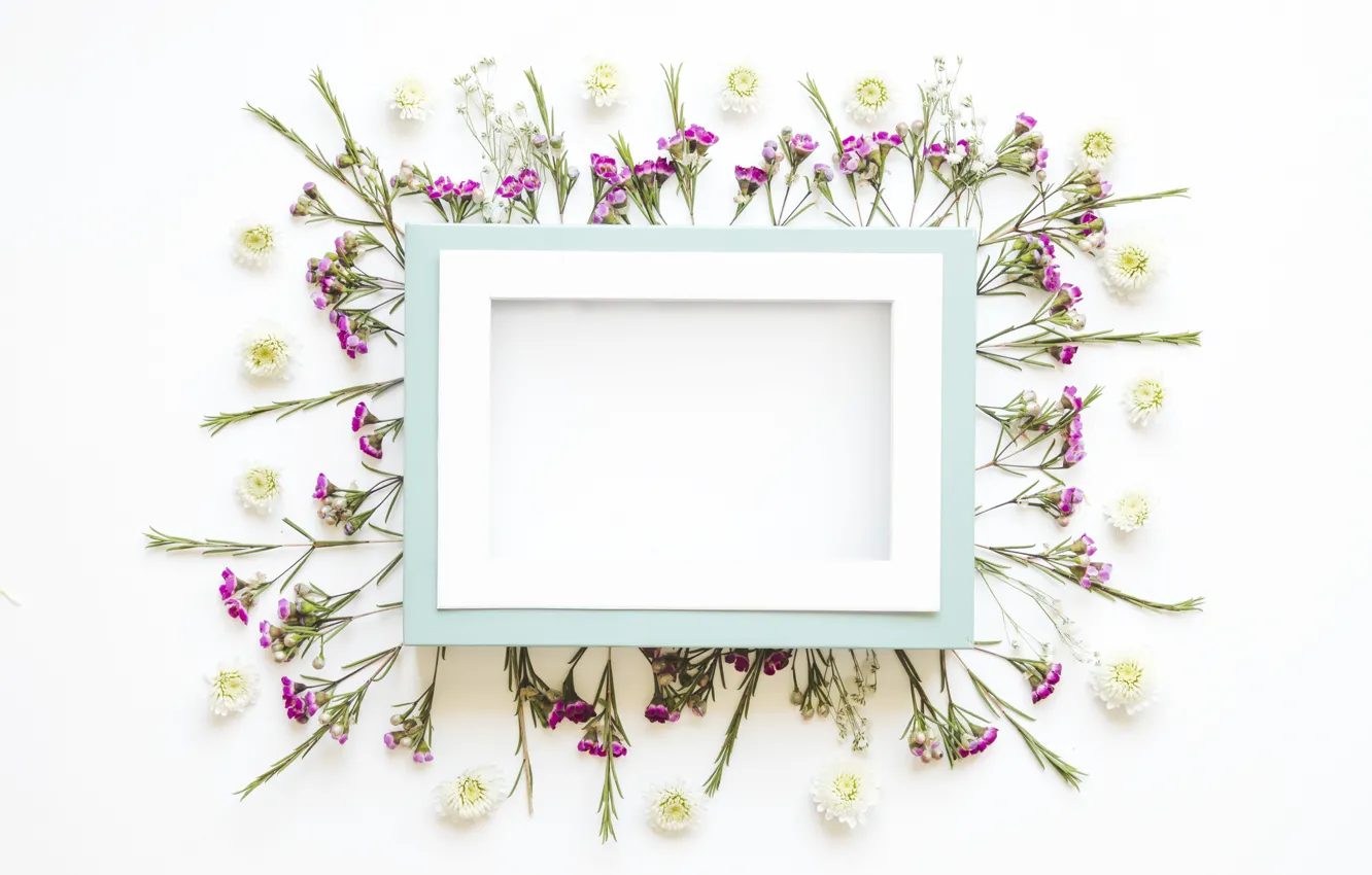 Фото обои цветы, рамка, лепестки, flowers, декор, decoration, frame