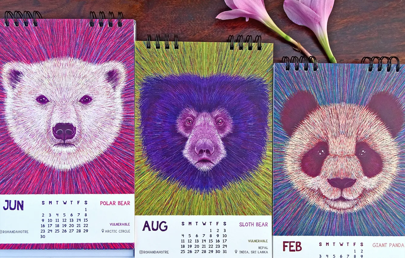 Фото обои цветок, стол, календари, CALENDAR 2019, LOSING WILDLIFE