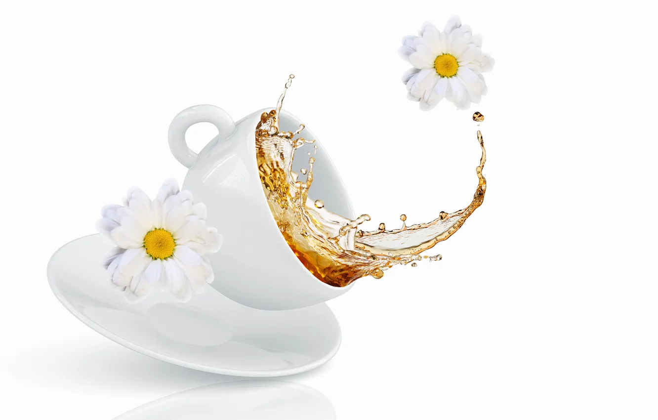 Фото обои цветы, брызги, чай, чашка, хризантемы, flowers, Cup, tea