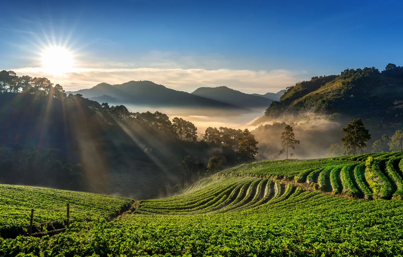Фото обои landscape, nature, mountains, fields