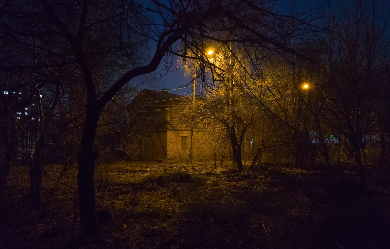 Фото обои деревья, ночь, весна, фонари, Россия, архитектура, март, Артём
