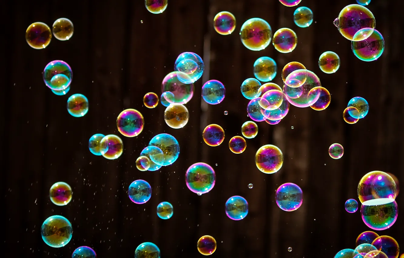 Фото обои пузыри, мыльные пузыри, разное
