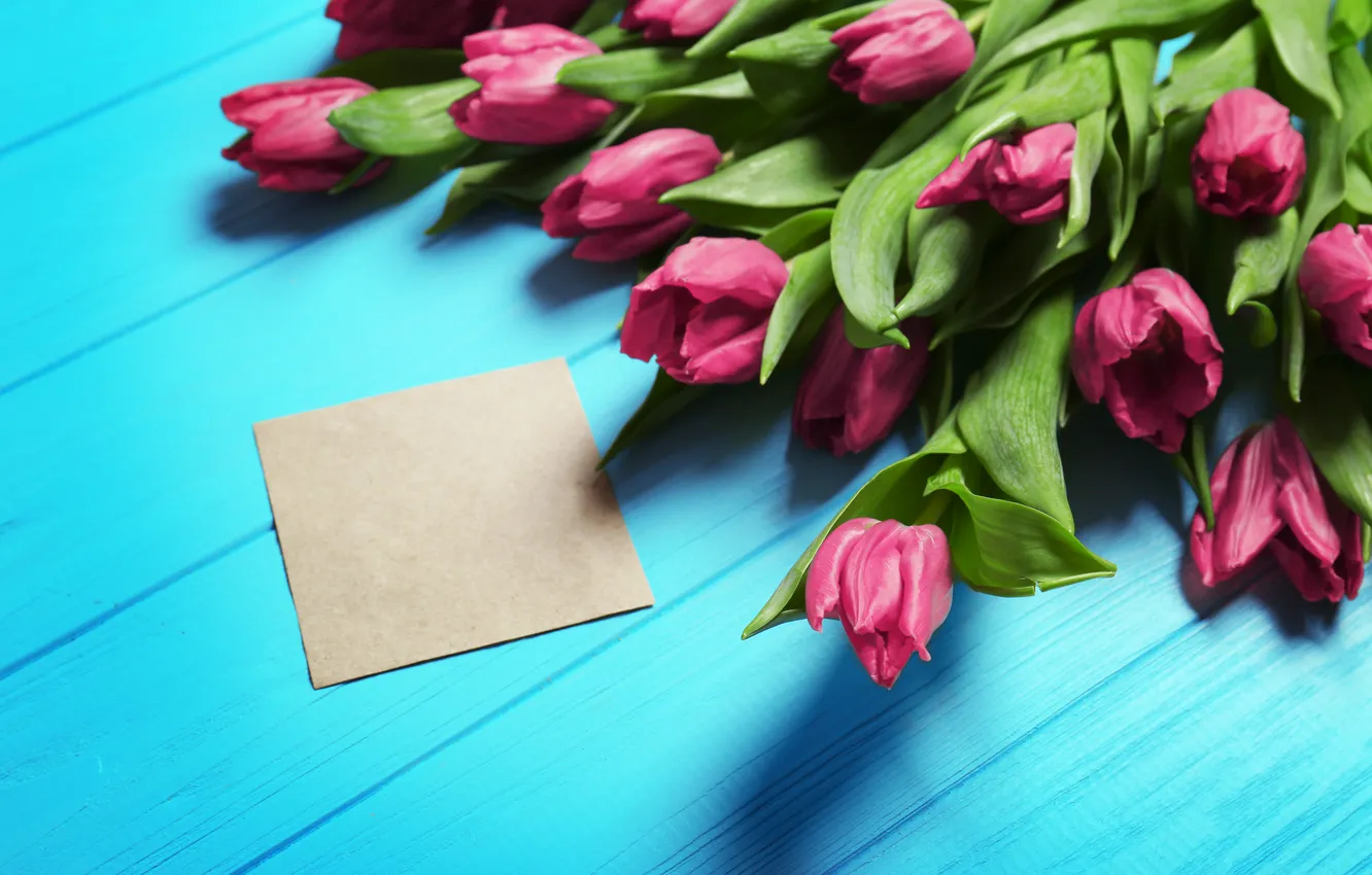 Фото обои цветы, букет, тюльпаны, wood, flowers, tulips, spring, purple
