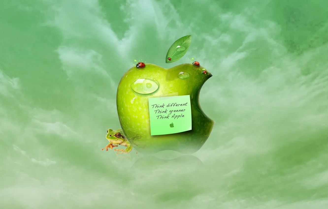 Фото обои apple, лягушка, Яблоко, листик