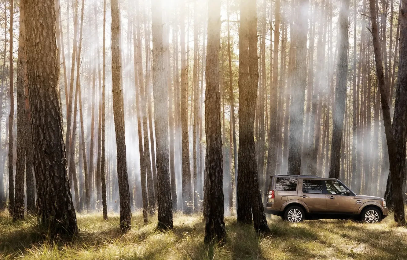 Фото обои Деревья, Land Rover, Auto