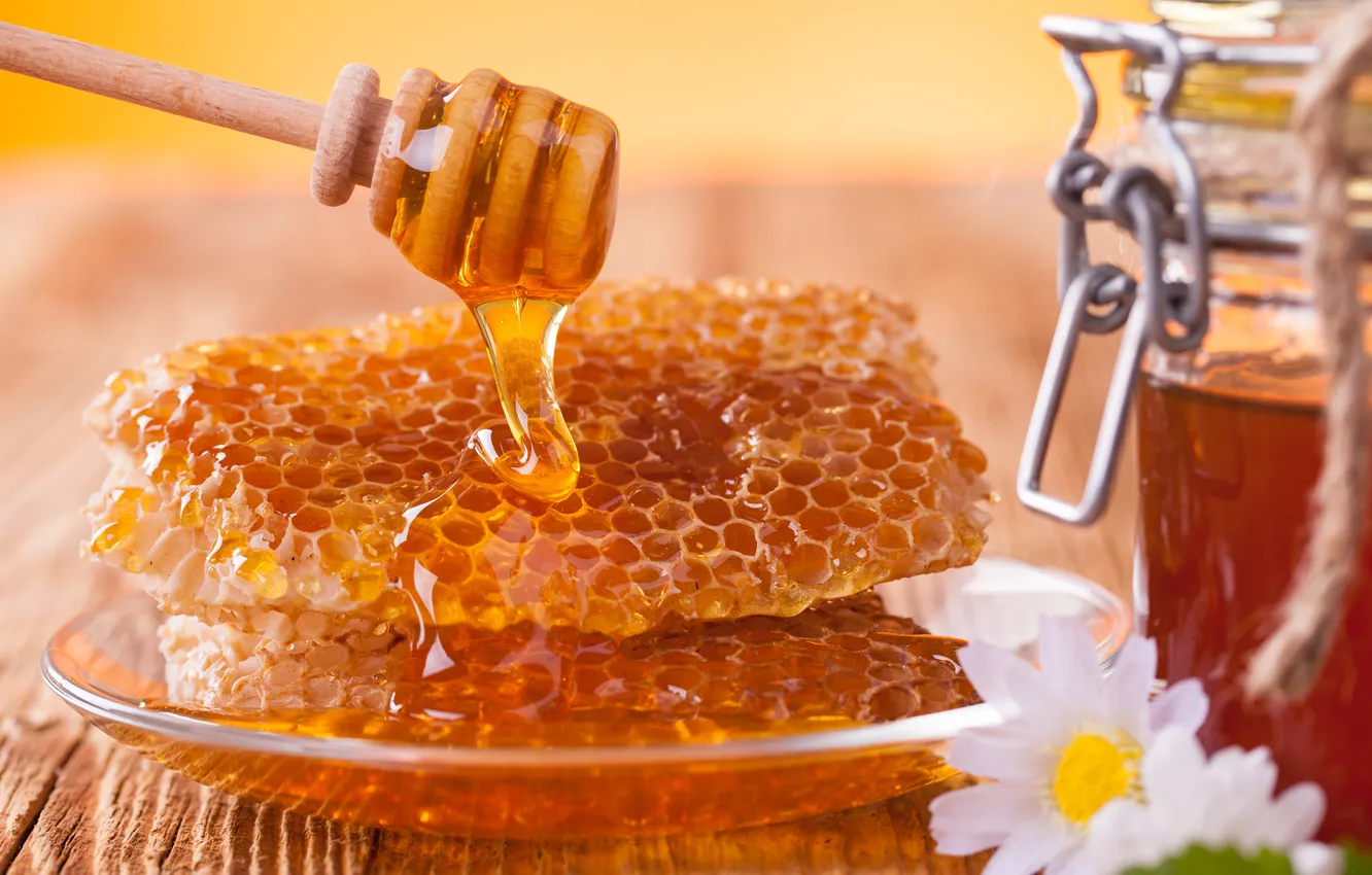Фото обои соты, мед, тарелка, ложка, мёд