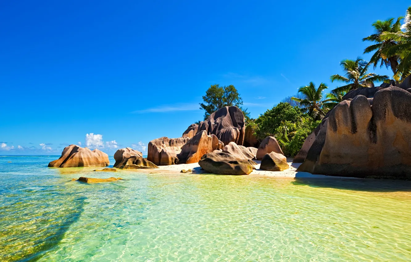Фото обои море, пляж, камни, пальмы, тропический остров