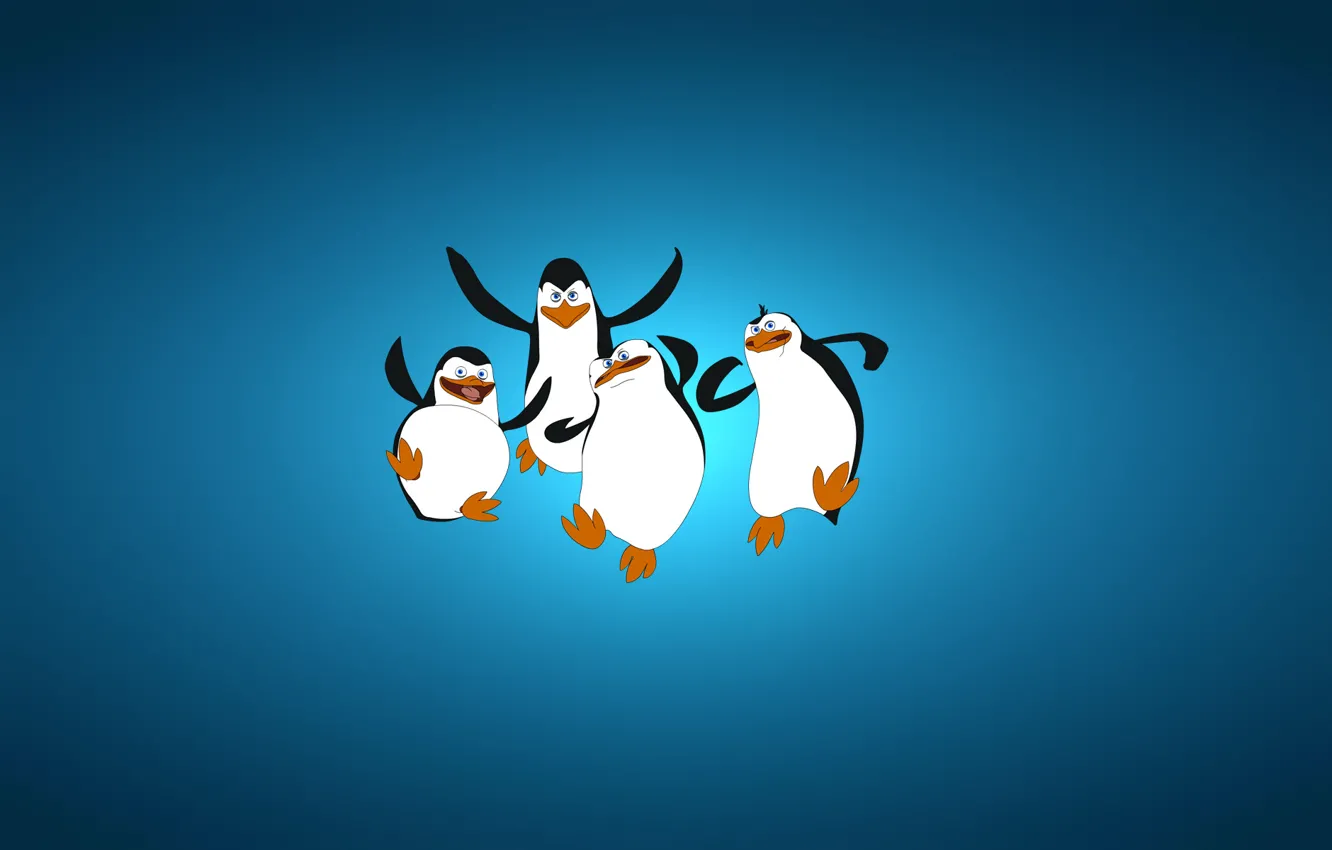 Фото обои минимализм, синий фон, четыре, The Penguins of Madagascar, Пингвины из Мадагаскара