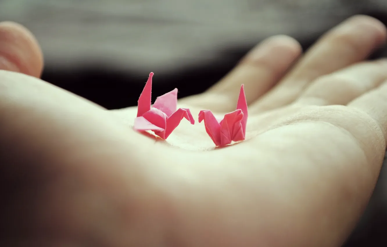 Фото обои рука, ладонь, оригами, журавлики