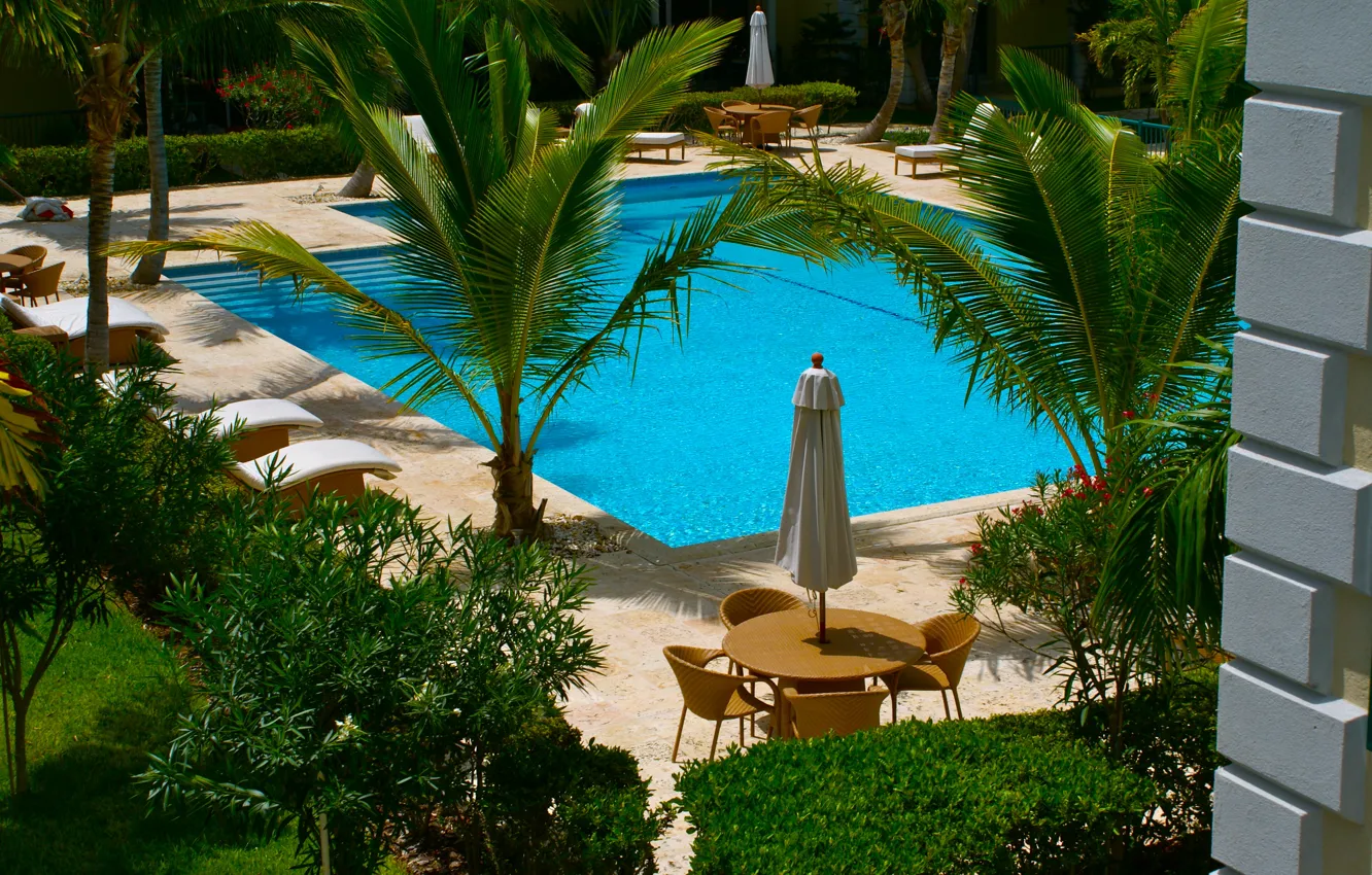 Фото обои пальмы, бассейн, кресла, pool, лежаки, столики., eksterior