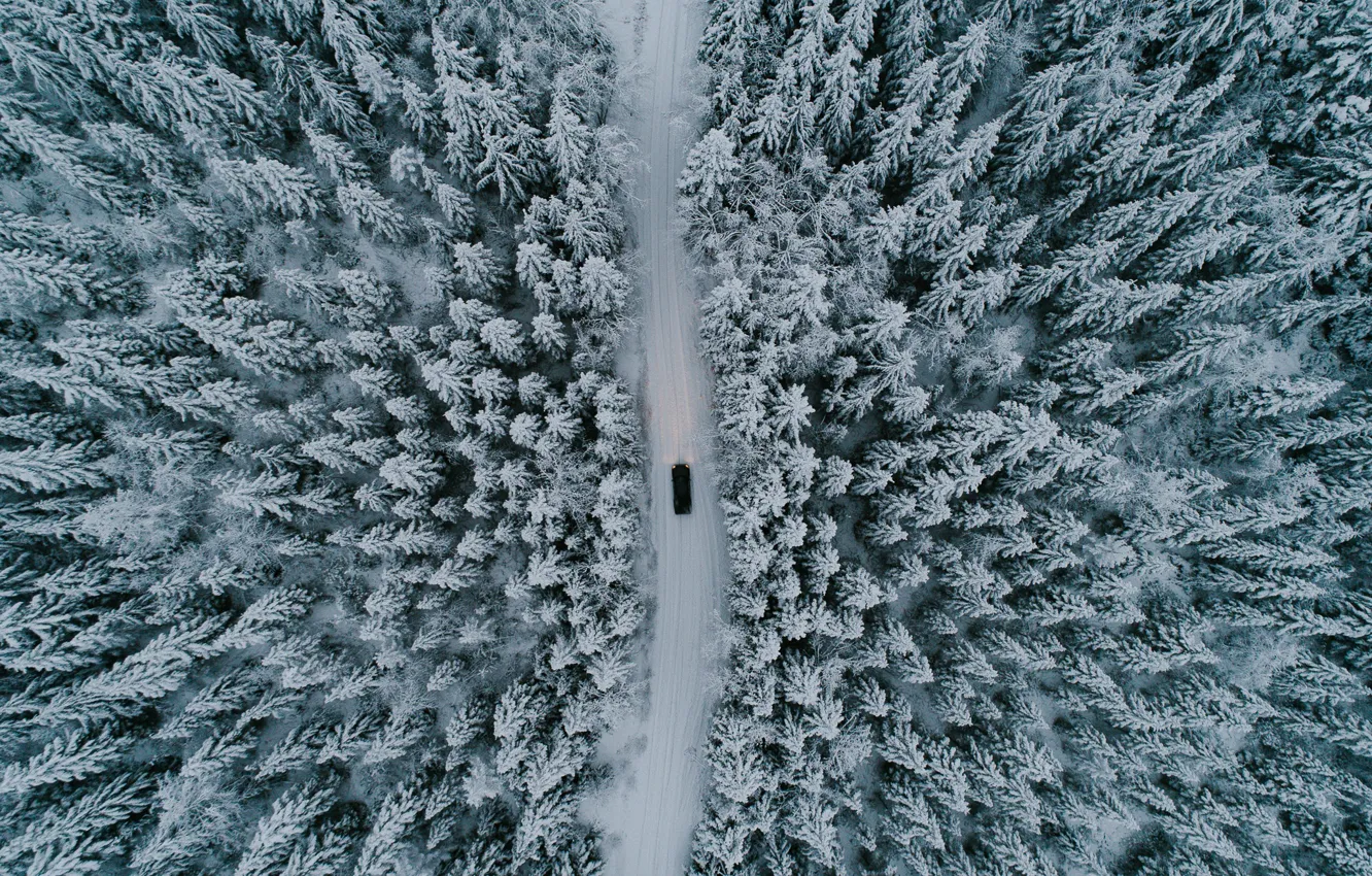Фото обои зима, дорога, машина, лес, снег, деревья, природа, вид сверху