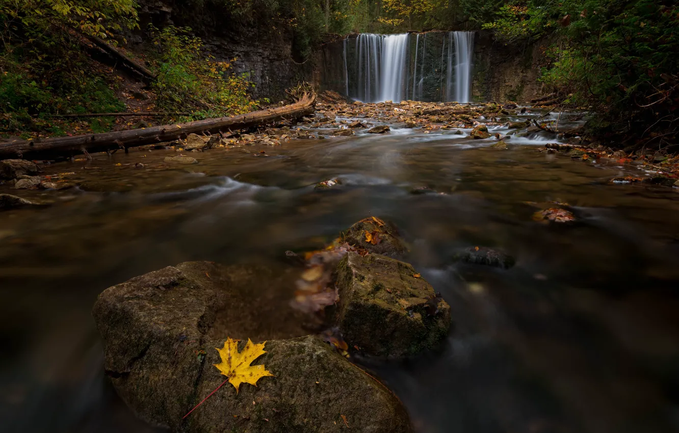 Фото обои осень, листья, пейзаж, природа, камни, водопад, поток