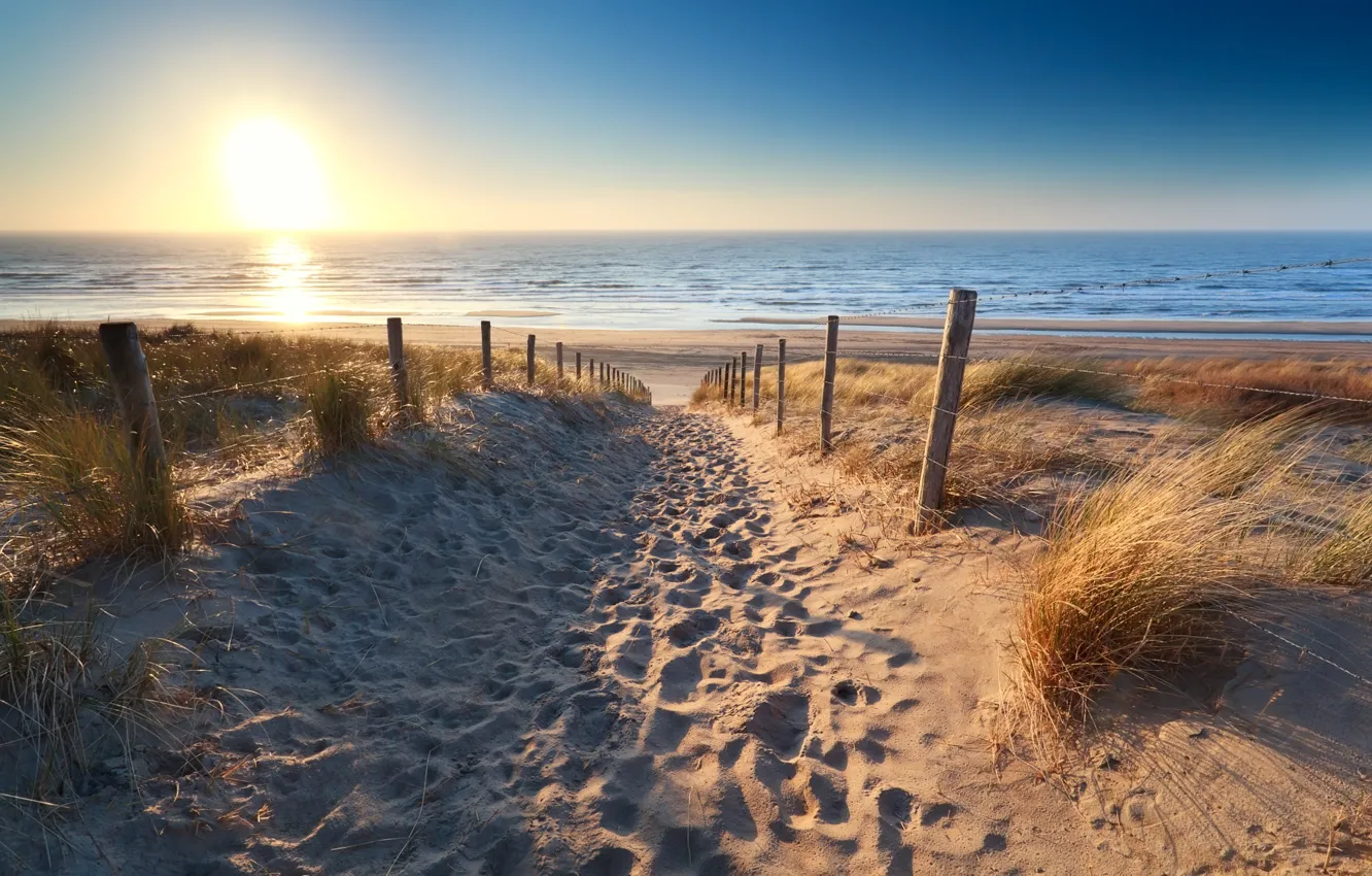 Фото обои beach, sunset, sand, footsteps