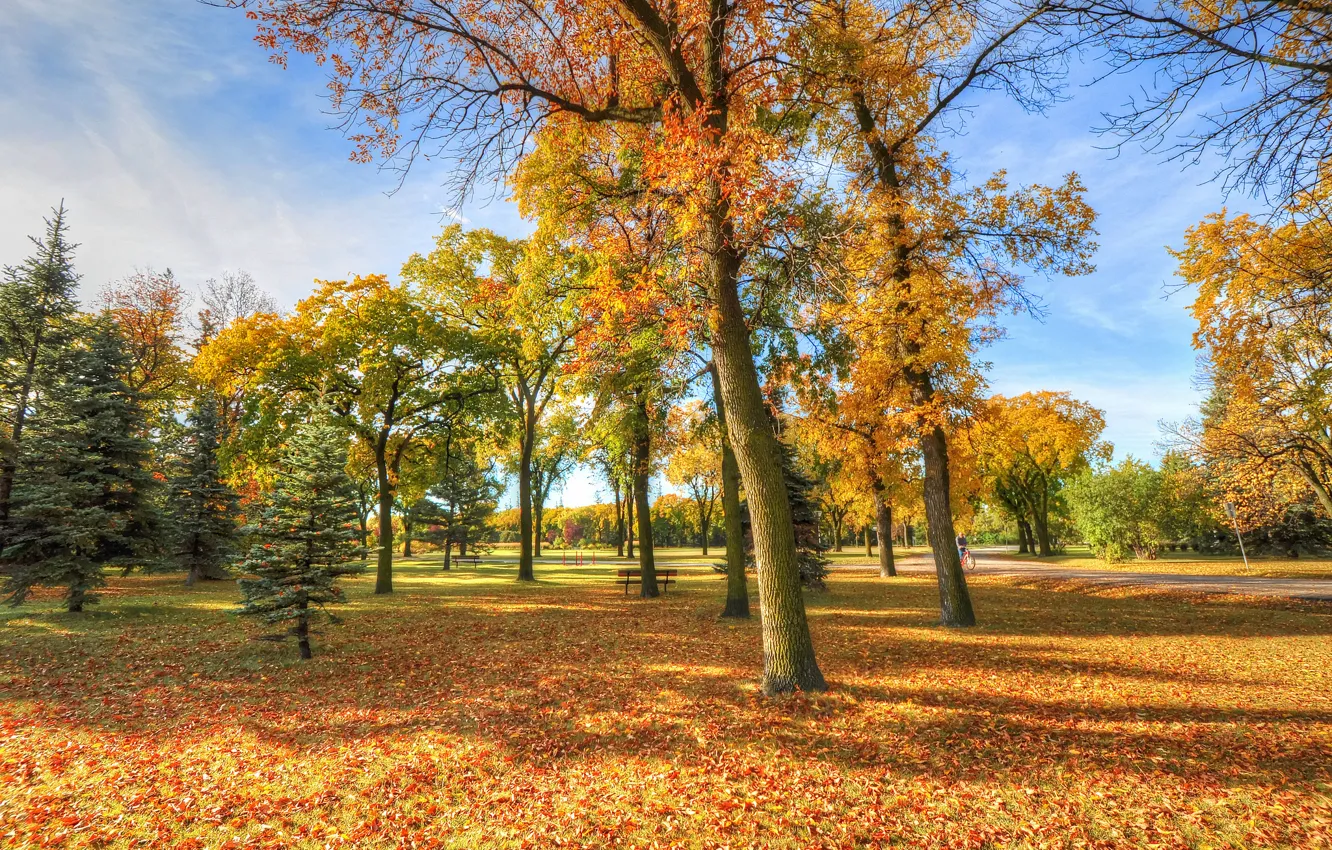 Фото обои осень, небо, трава, листья, деревья, парк, скамья