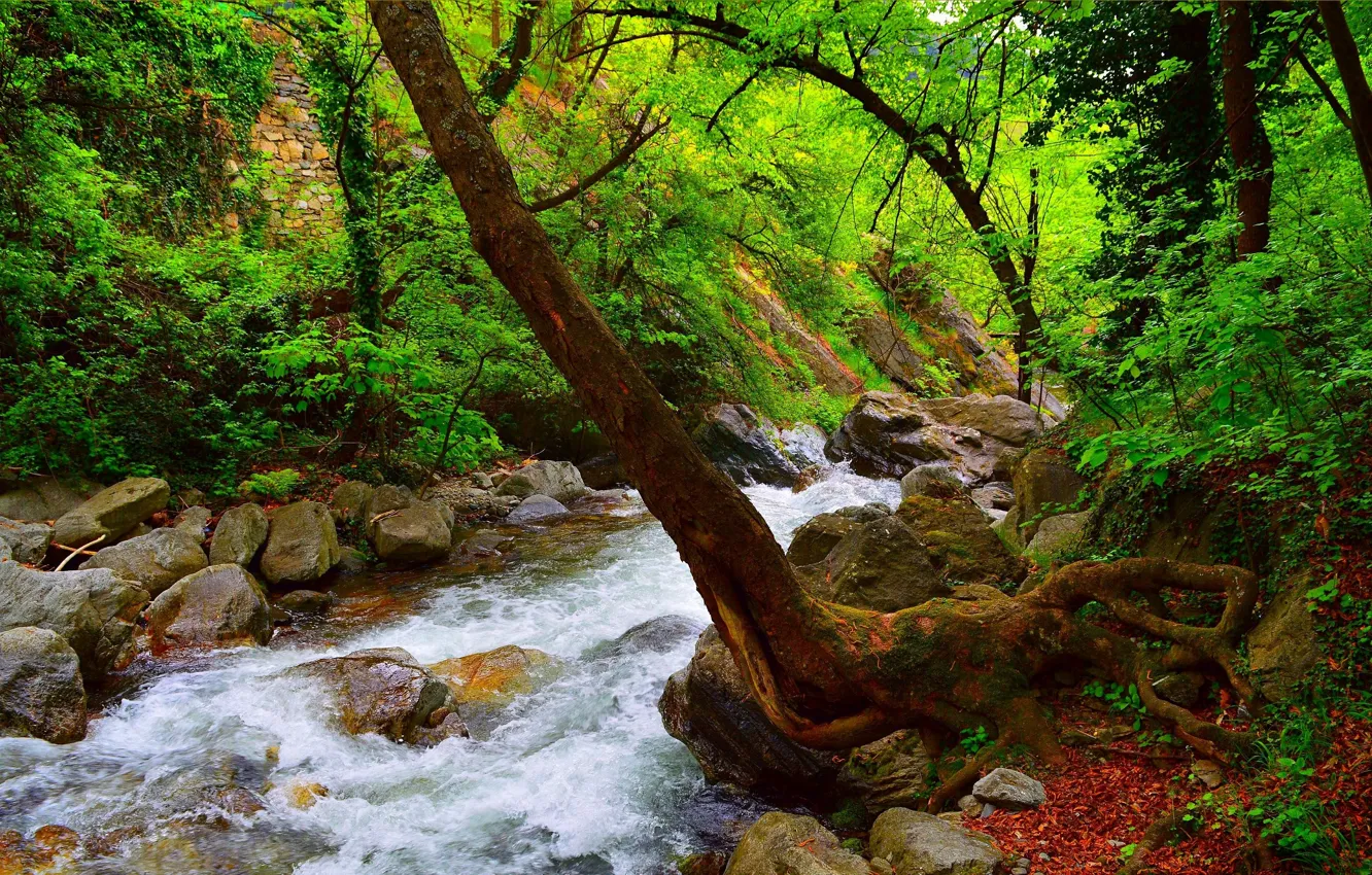 Фото обои Поток, Весна, Лес, Камни, Речка, Spring, River, Forest