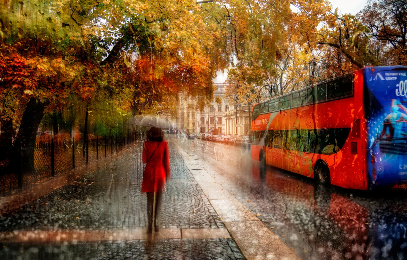 Фото обои осень, девушка, дождь, Санкт-петербург, Октябрь