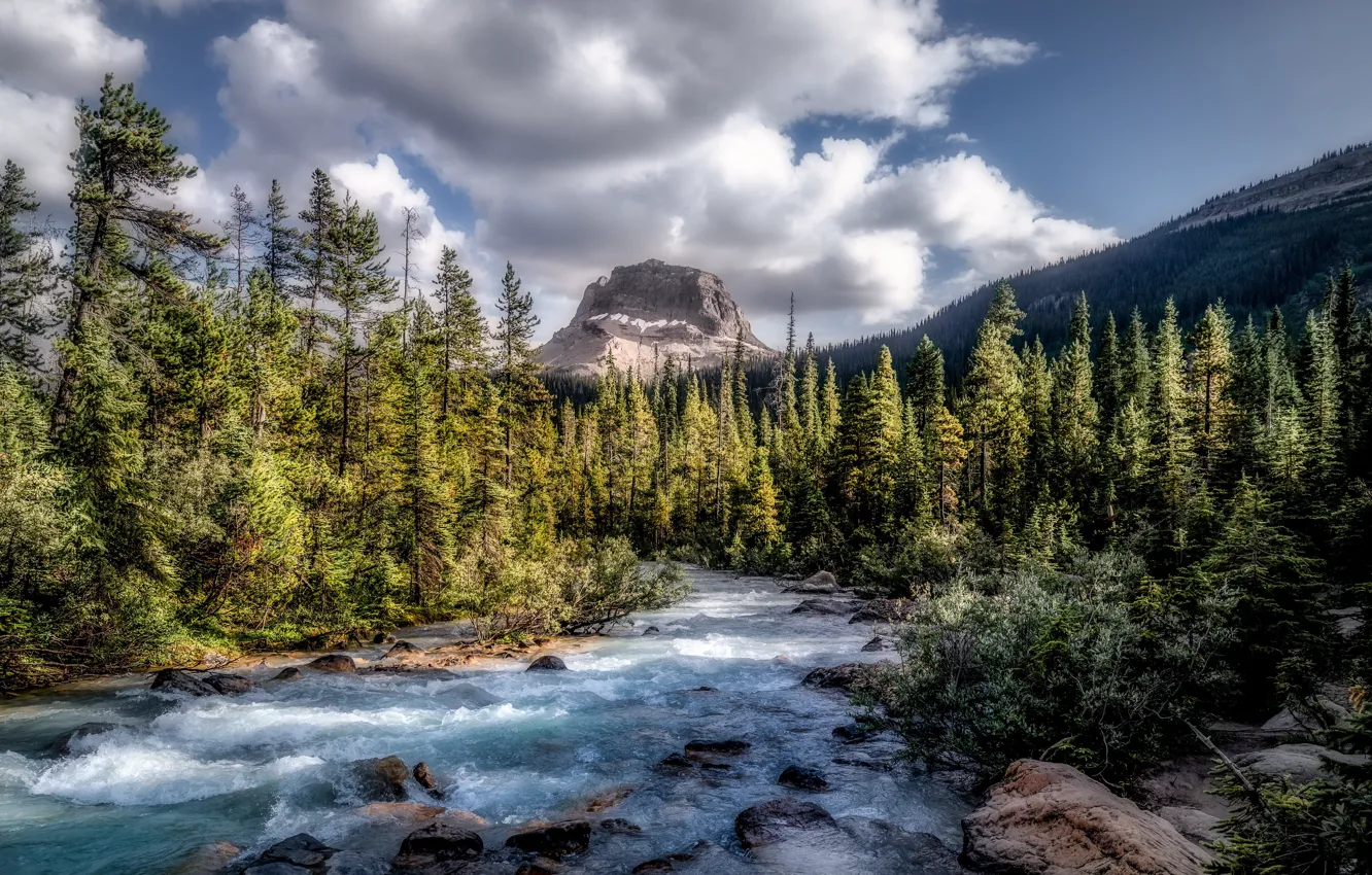 Фото обои forest, Canada, river, sky, trees, nature, water, mountains