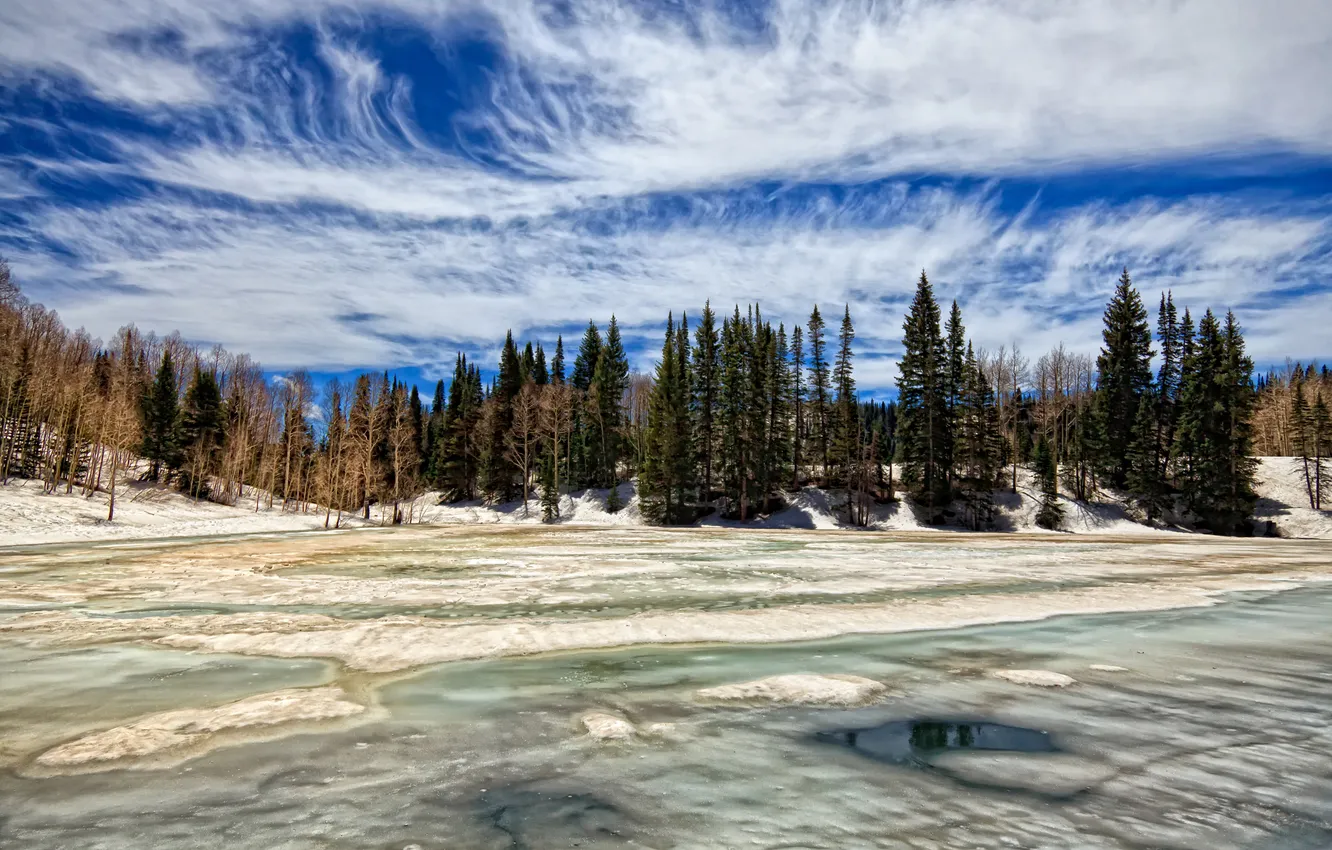 Фото обои зима, лес, облака, весна, across ice of dog lake