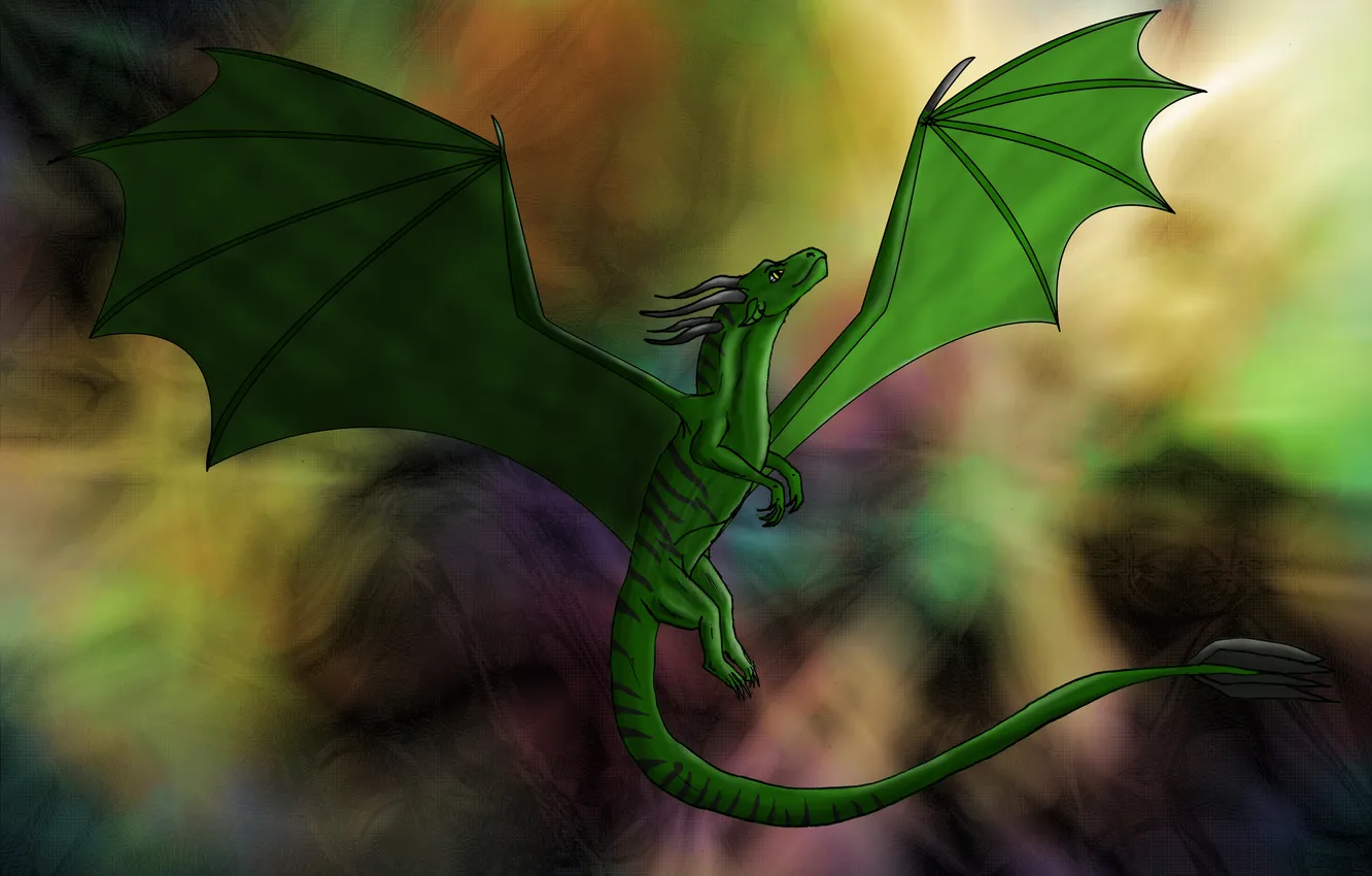 Фото обои дракон, крылья, хвост, зелёный