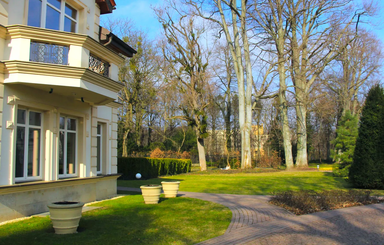 Фото обои house, park, tree, alley
