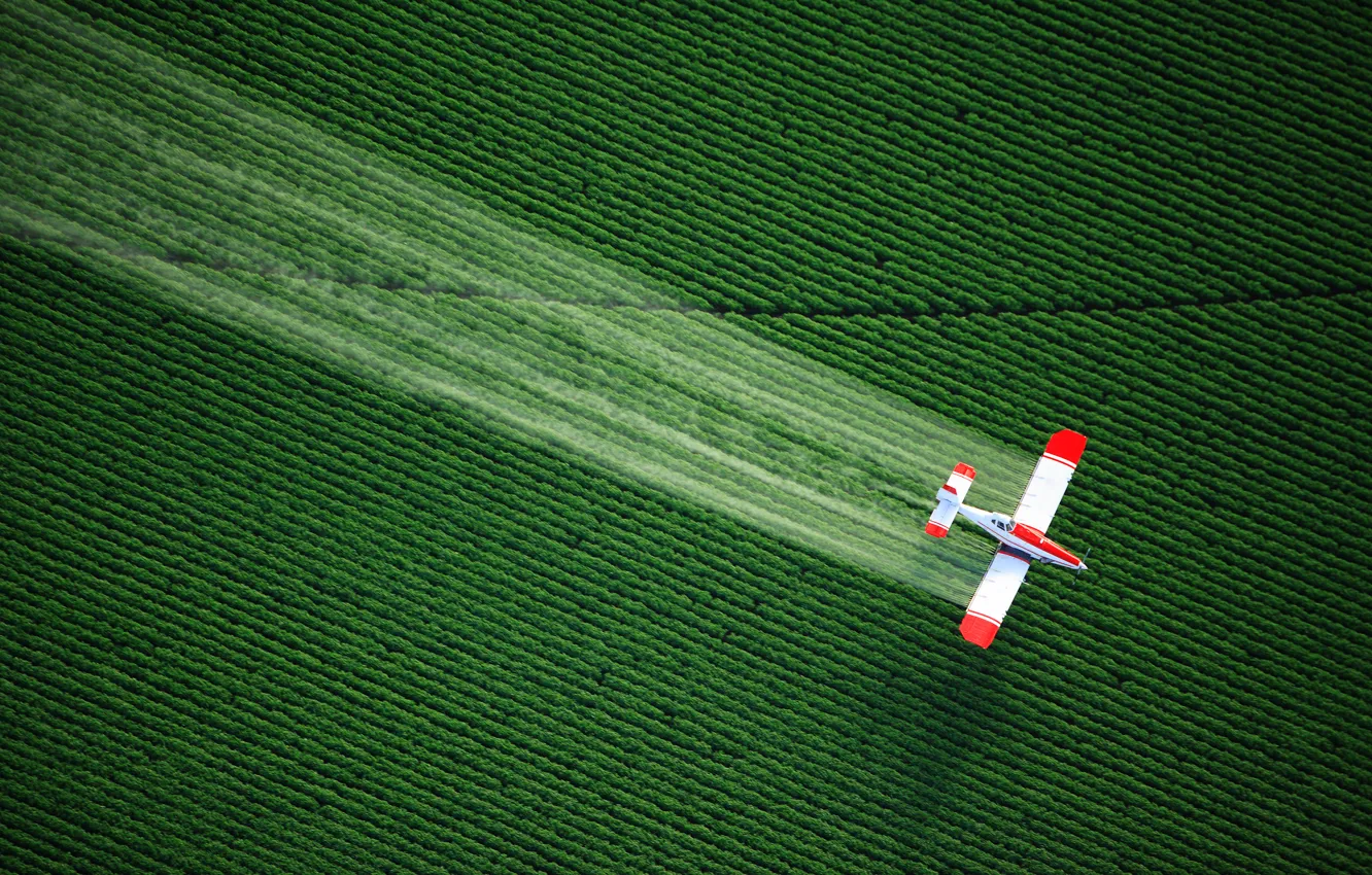 Фото обои verde, avion, plantacion