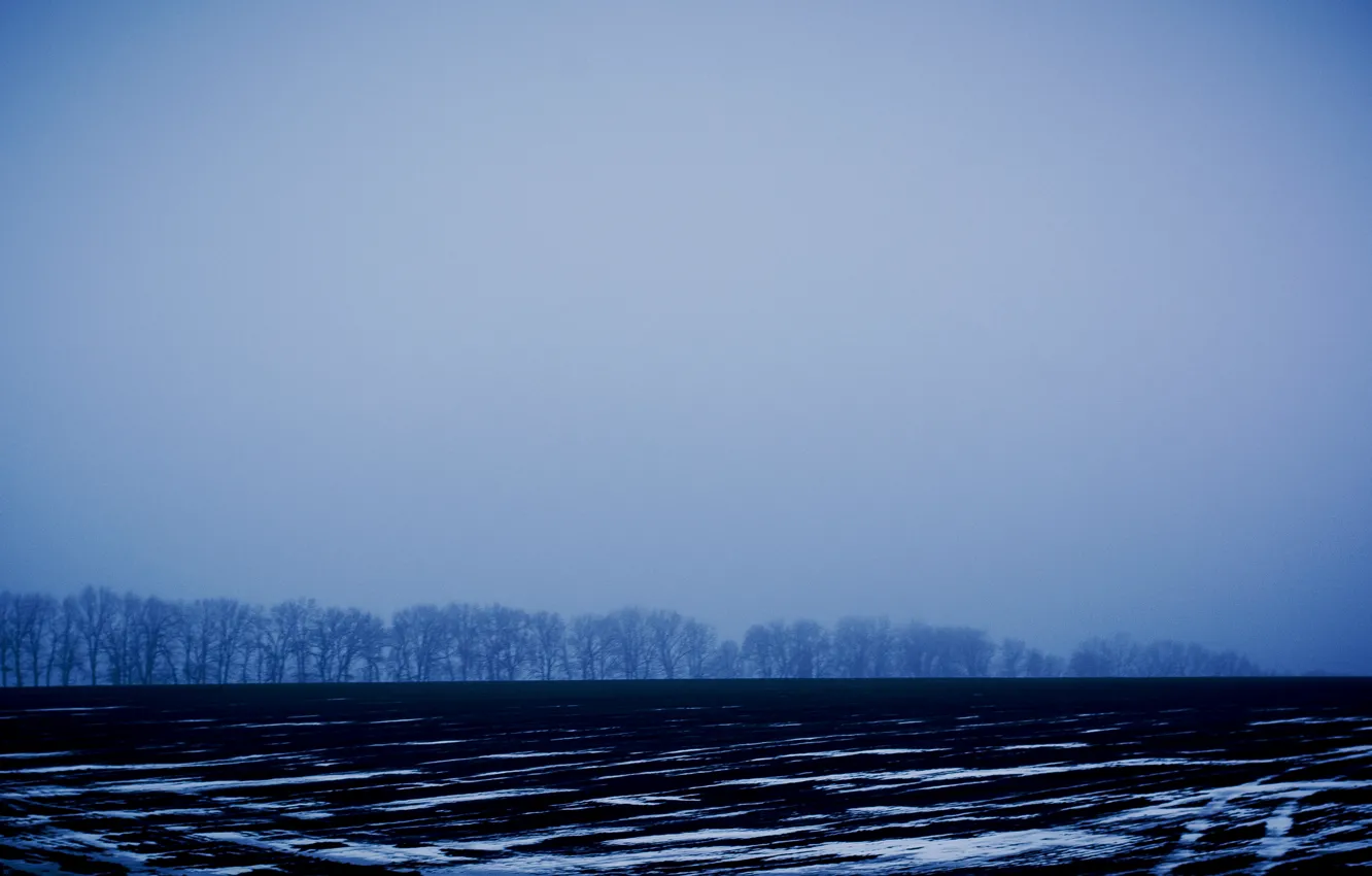 Фото обои зима, поле, снег, деревья, полоски, Украина