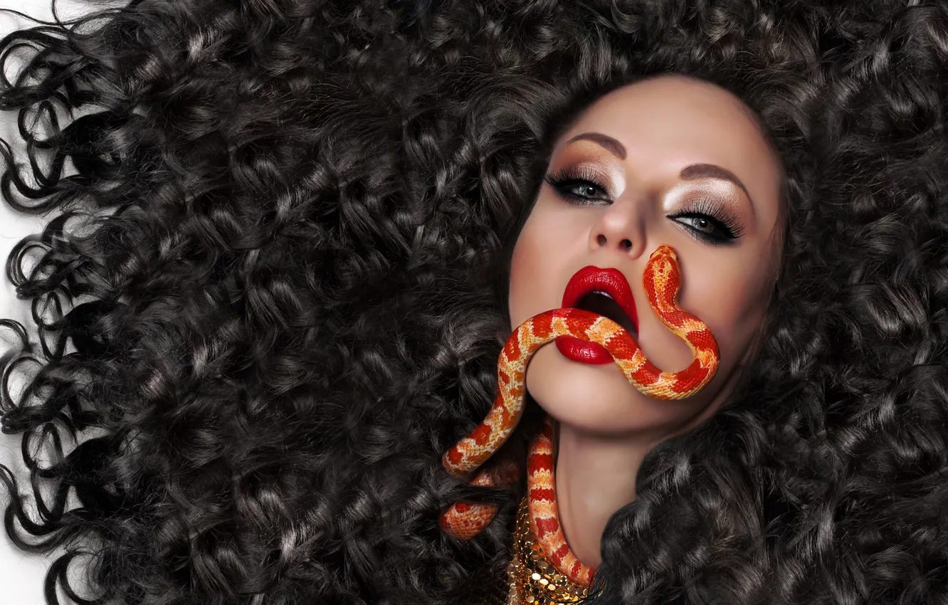 Фото обои взгляд, девушка, лицо, модель, волосы, змея, макияж, губы