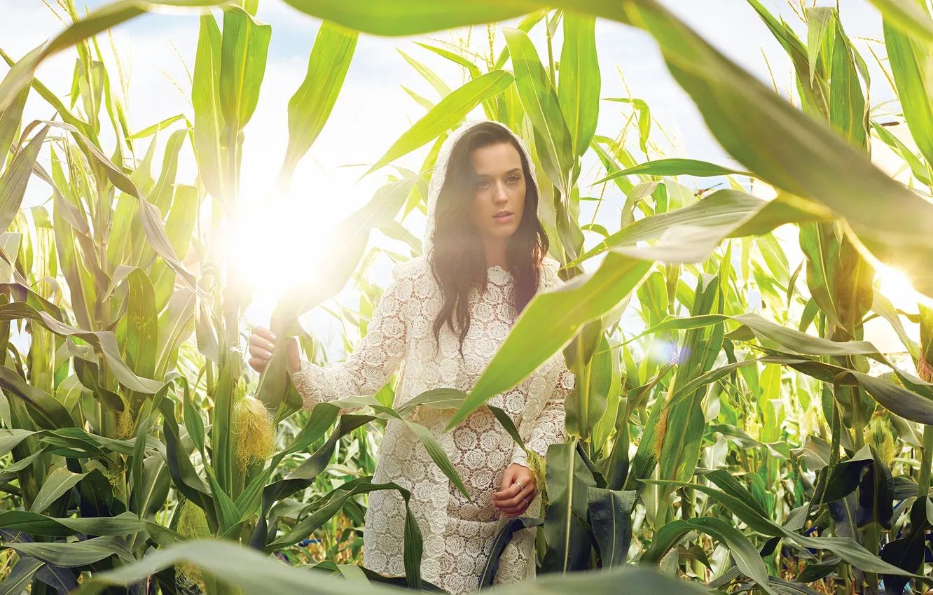Фото обои поле, кукуруза, Katy Perry