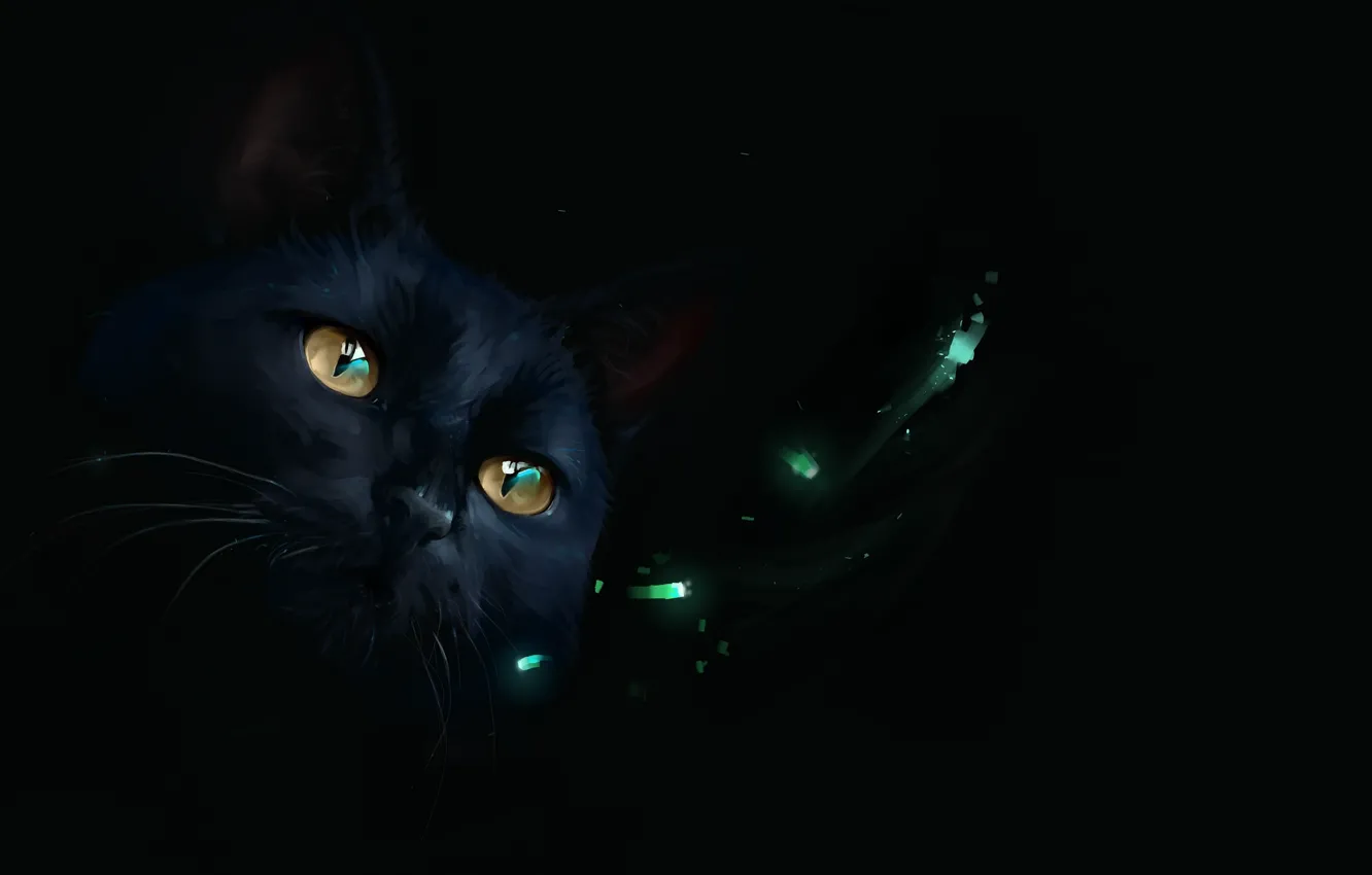 Фото обои огоньки, черная кошка, by SalamanDra-S