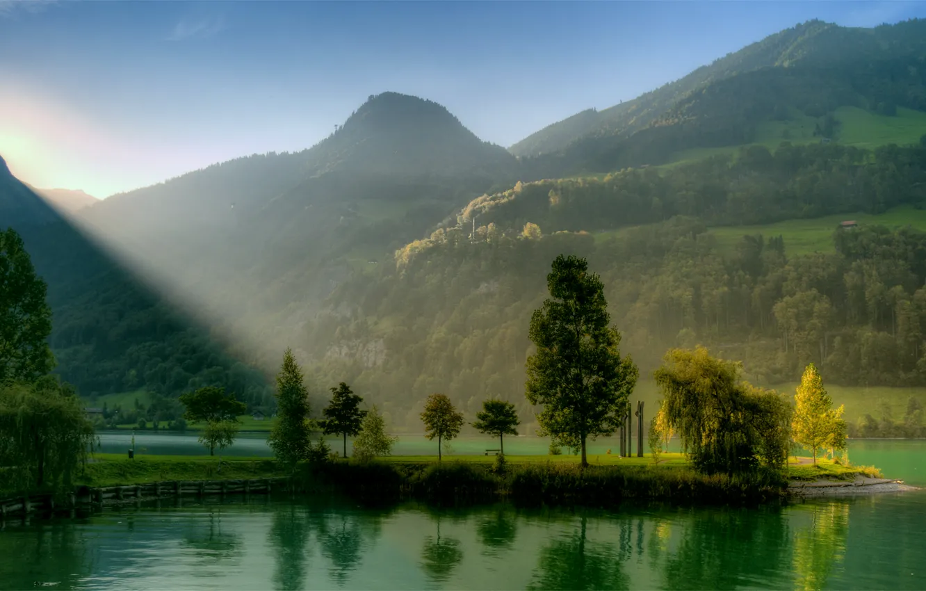Фото обои зелень, небо, солнце, лучи, свет, деревья, пейзаж, река