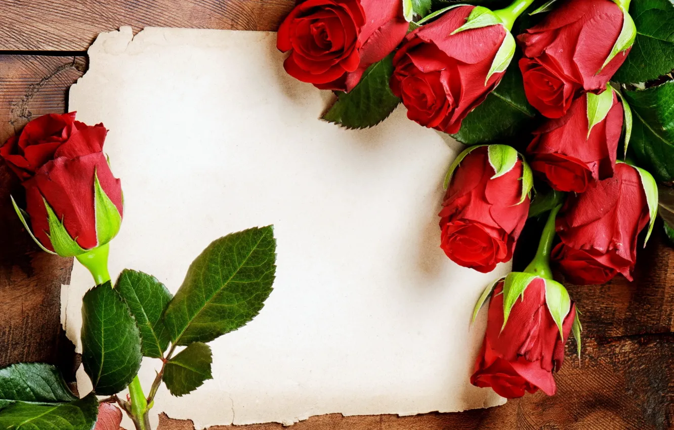 Фото обои лист, бумага, розы, красные