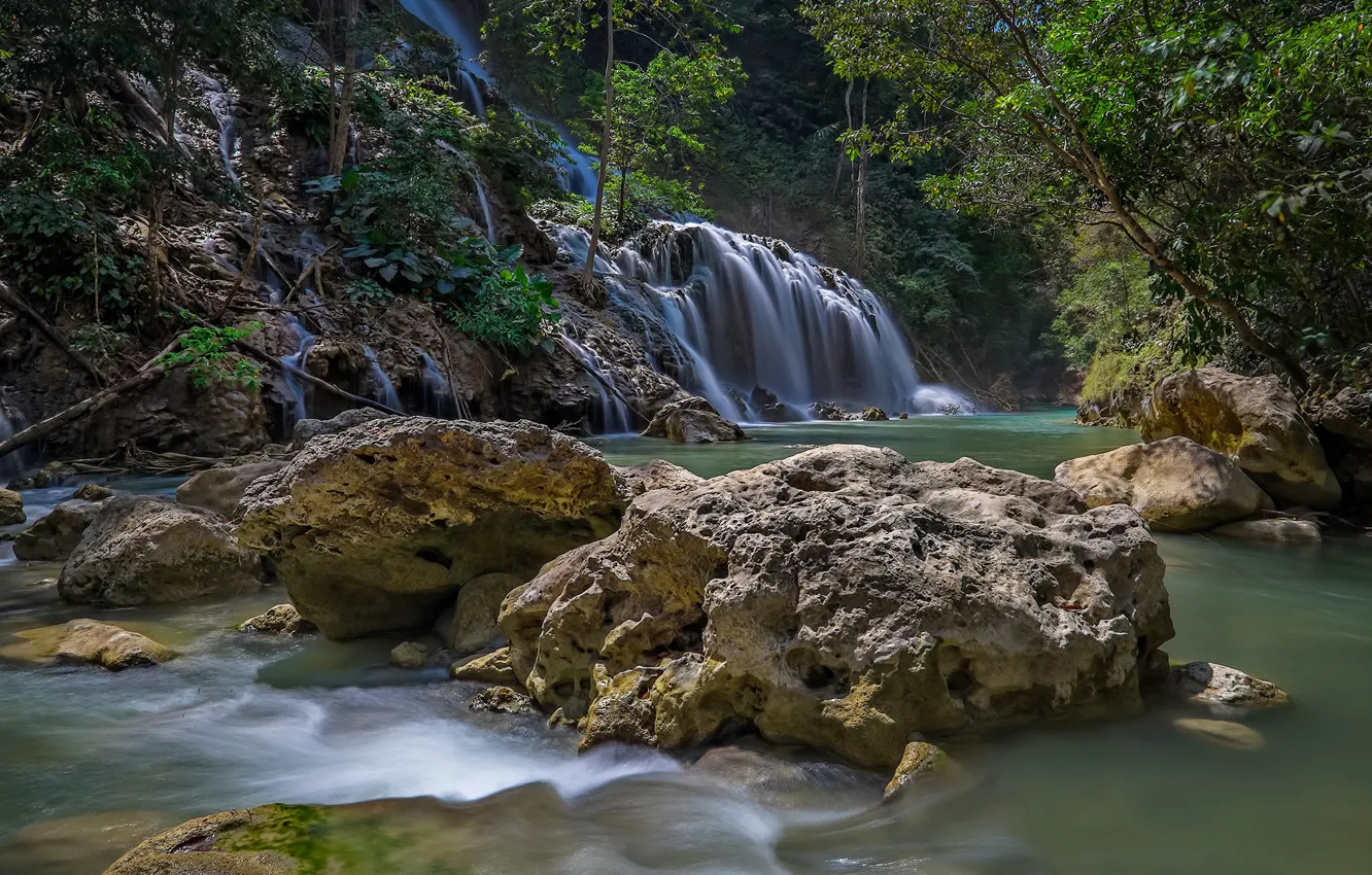 Фото обои лес, камни, водопад