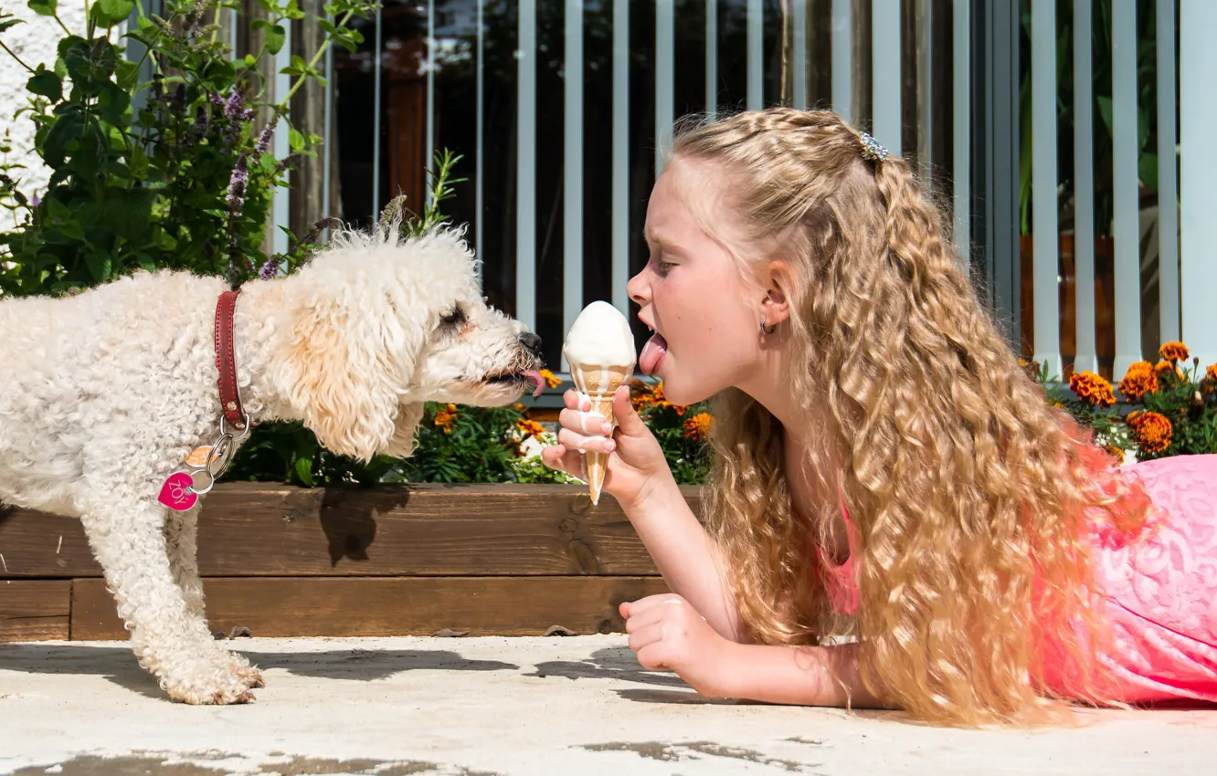 Фото обои друг, собака, мороженое, девочка