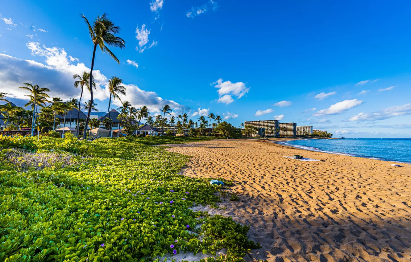 Фото обои пляж, лето, небо, тропики, обои, берег, остров, Гавайи