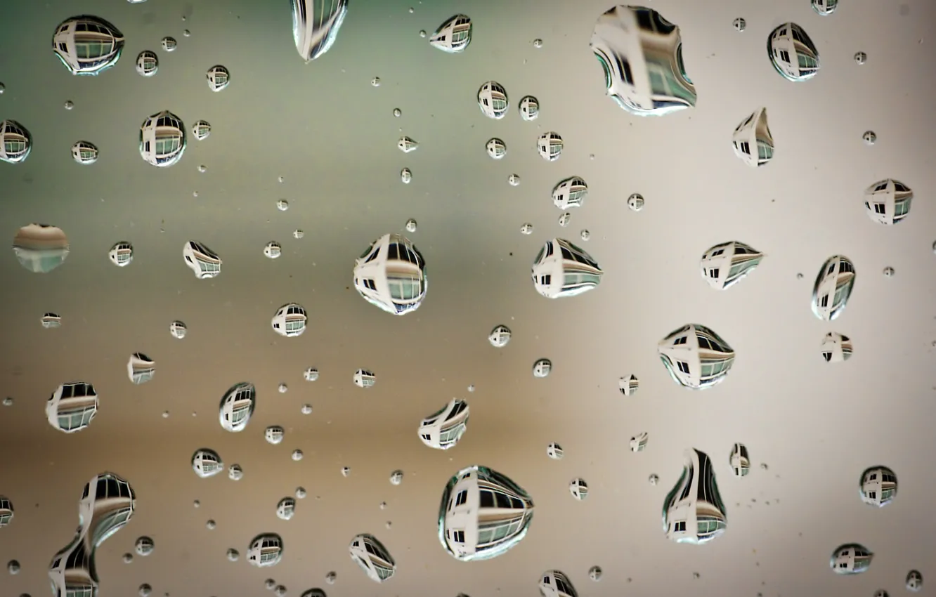 Фото обои вода, капли, поверхность, отражение, после дождя, macro, Sony DSLR-A550