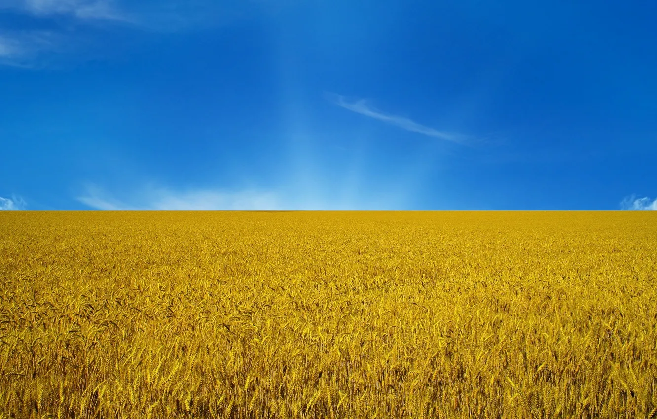 Фото обои небо, флаг, Украина, flag