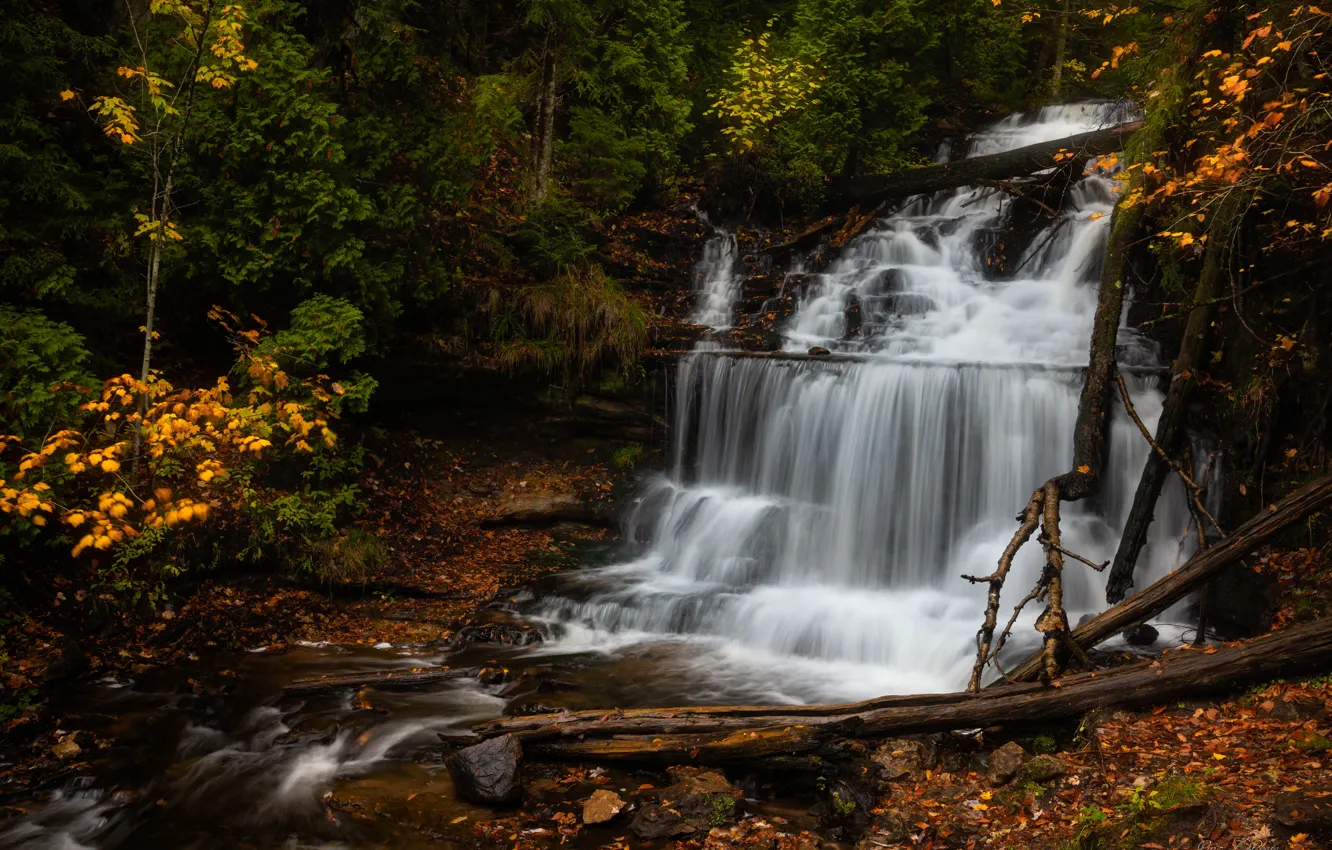 Фото обои осень, лес, водопад, Мичиган, каскад, Michigan, Wagner Falls, Водопад Вагнер