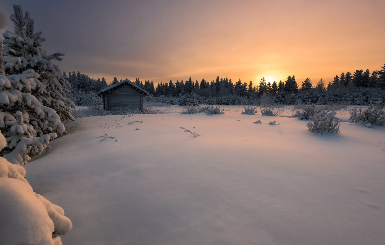 Фото обои зима, лес, снег, закат, Финляндия, Finland
