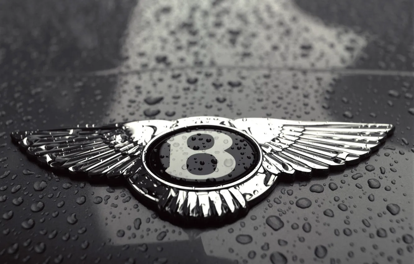 Фото обои капли, черно-белая, Bentley, логотип