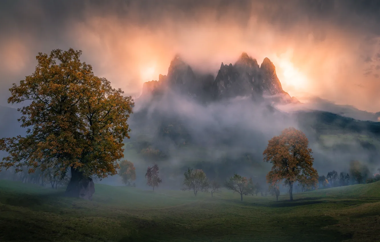 Фото обои осень, горы, туман, утро