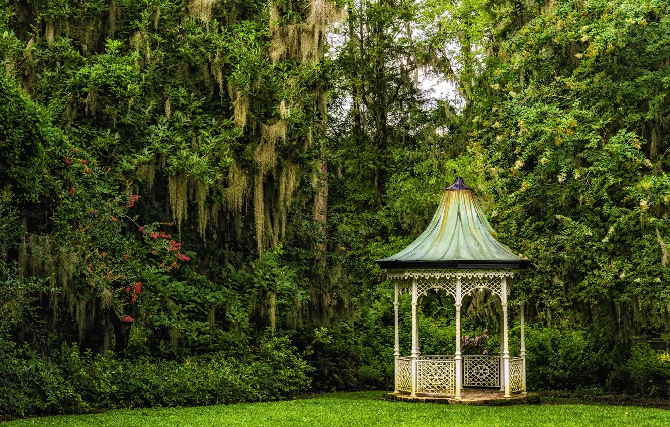 Фото обои деревья, Южная Каролина, беседка, Charleston, South Carolina, Magnolia Gardens, Чарлстон, Сады магнолий