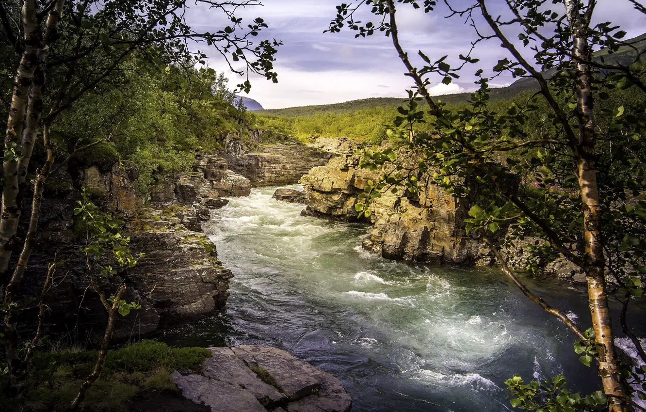 Фото обои природа, река, каньон