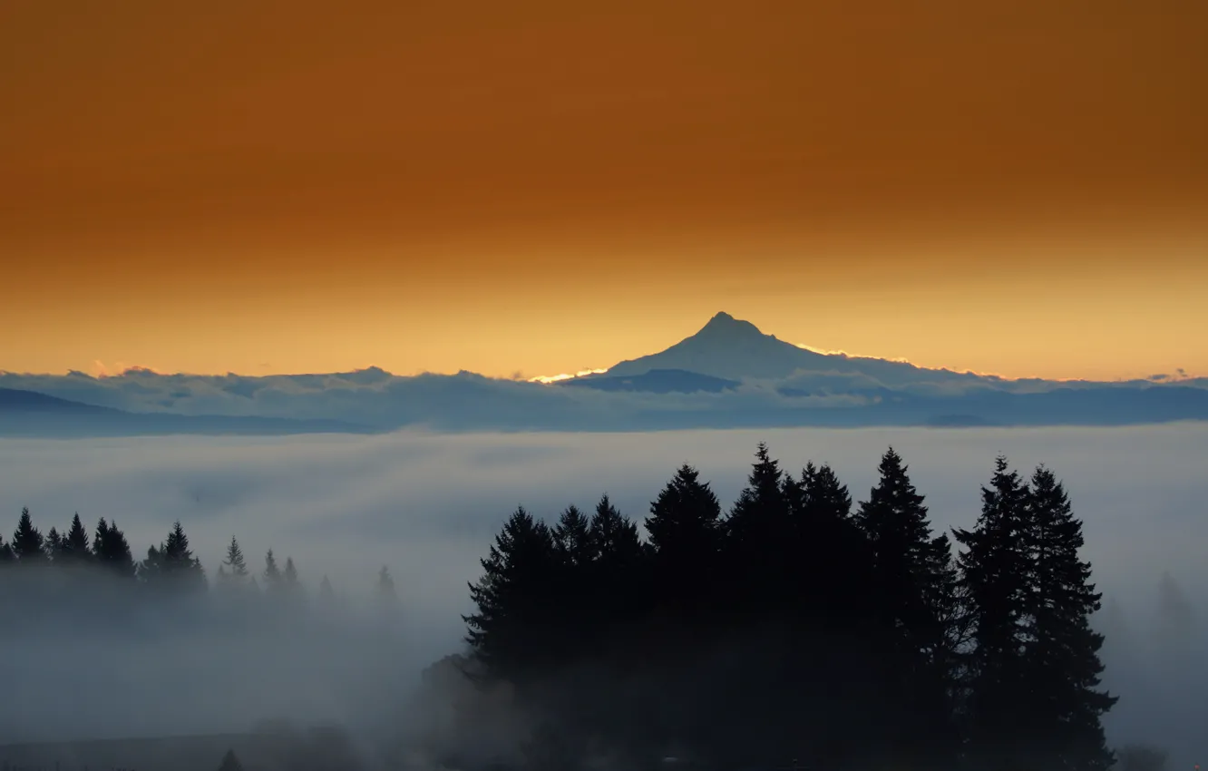 Фото обои пейзаж, закат, туман