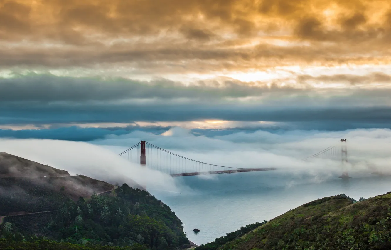 Фото обои небо, вода, облака, мост, туман, золотые ворота, леса, San Francisco