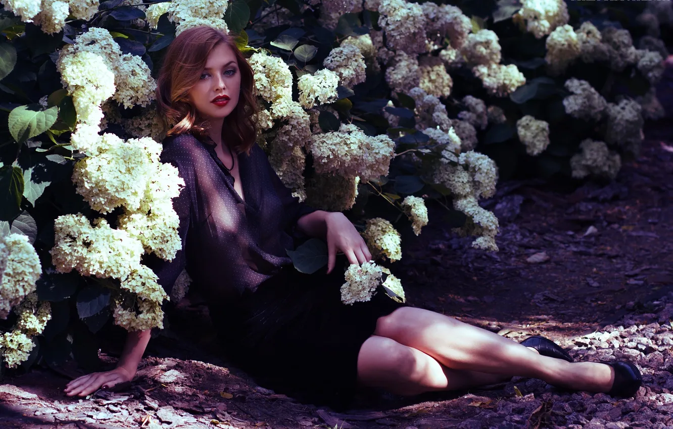 Фото обои листья, девушка, цветы, природа, поза, макияж, сидит, клумба