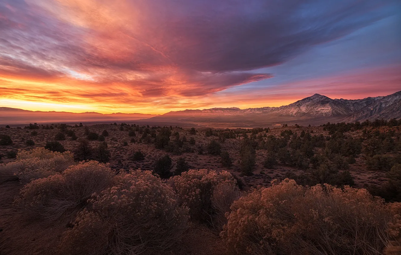 Фото обои mountain, sunrise, mt tom