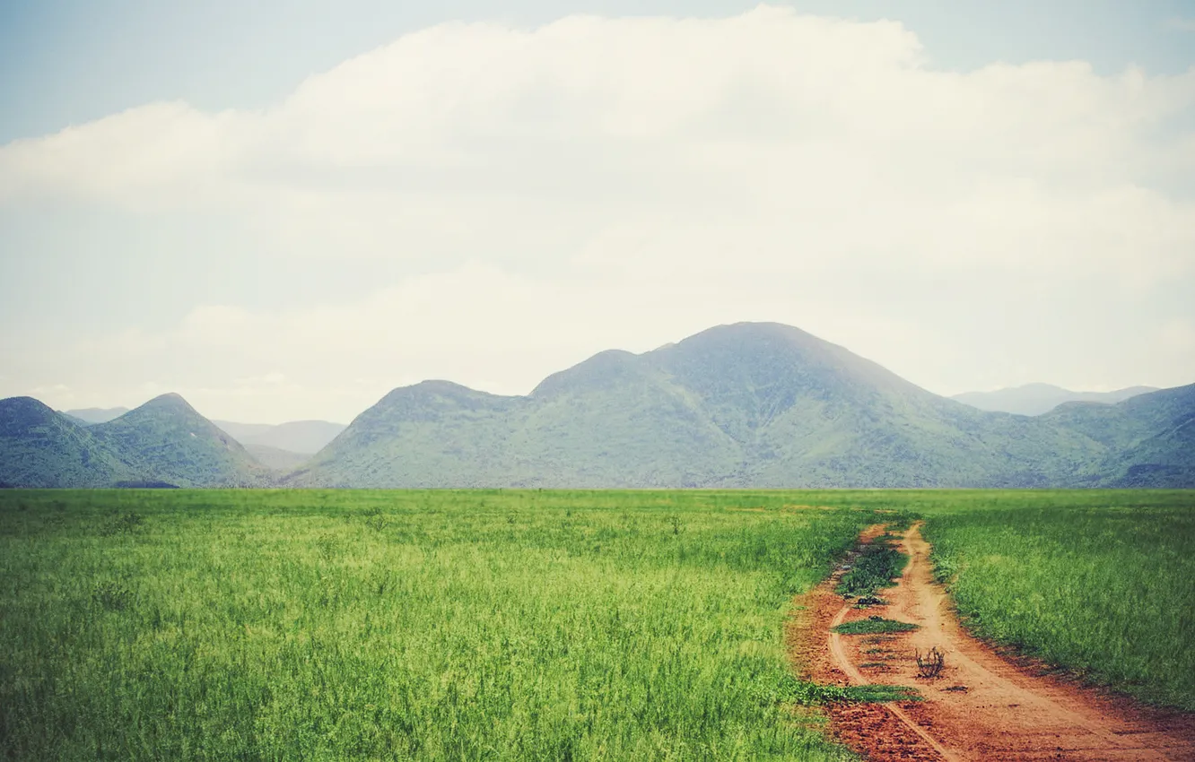 Фото обои трава, горы, природа, тропа, панорама