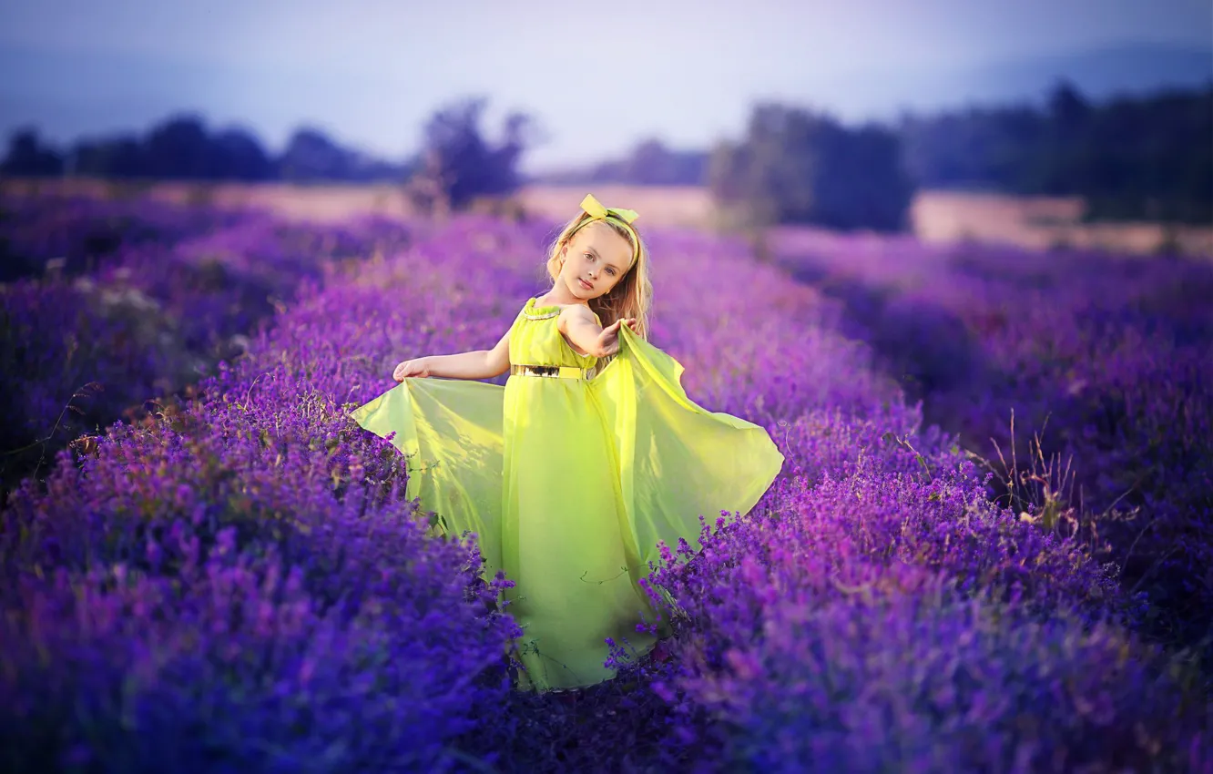 Фото обои цветы, природа, девочка, лавандовое поле