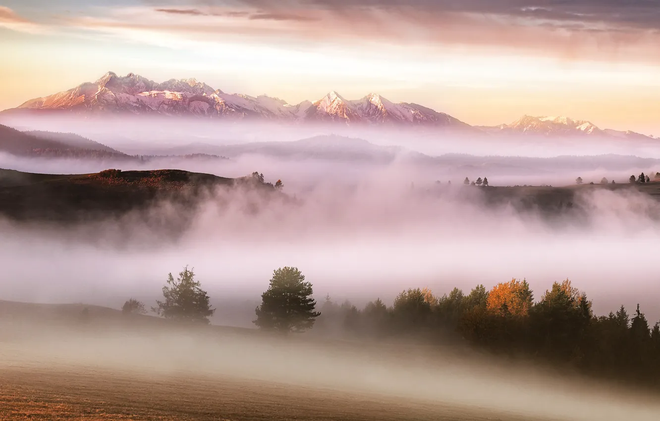 Фото обои осень, горы, туман, утро, карпаты